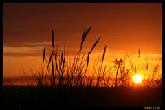 *Ostsee-Sommer*