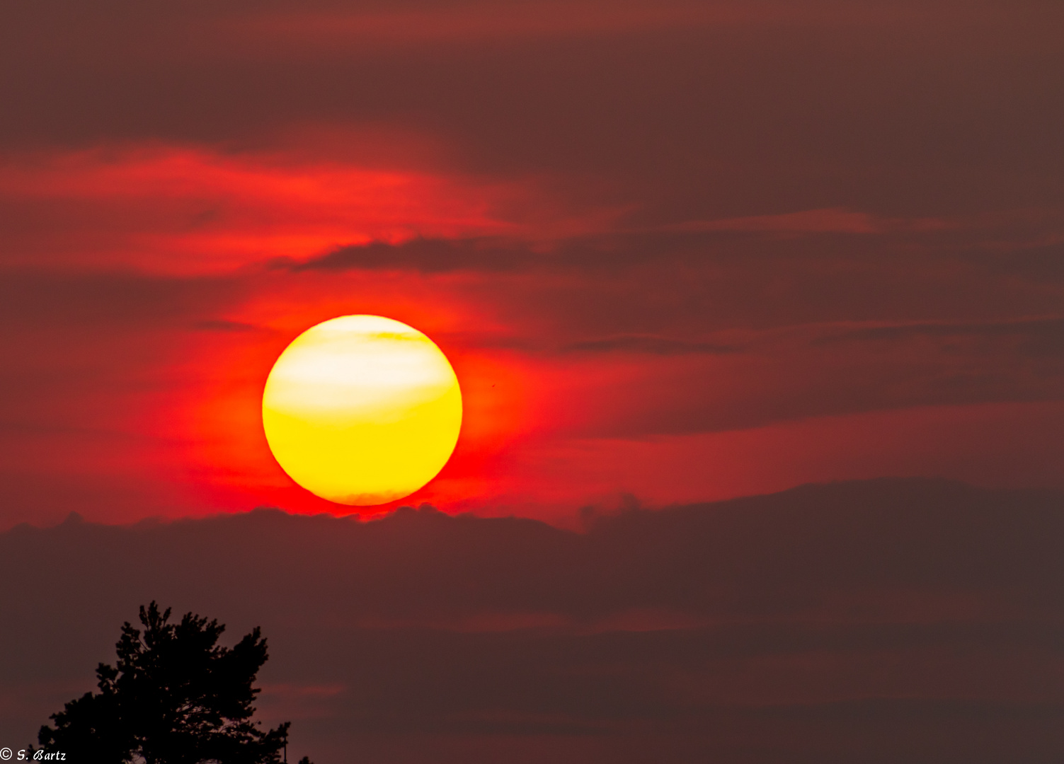 Ostsee - Sonne (1)