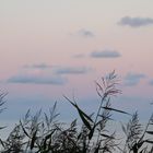 Ostsee-Sonnenuntergang  -  Baltic Sea sunset