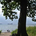 Ostsee: Spätnachmittags am Strand …..