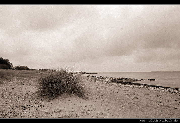 Ostsee-Spaziergang2