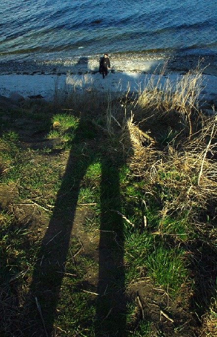 Ostsee / Steilküste