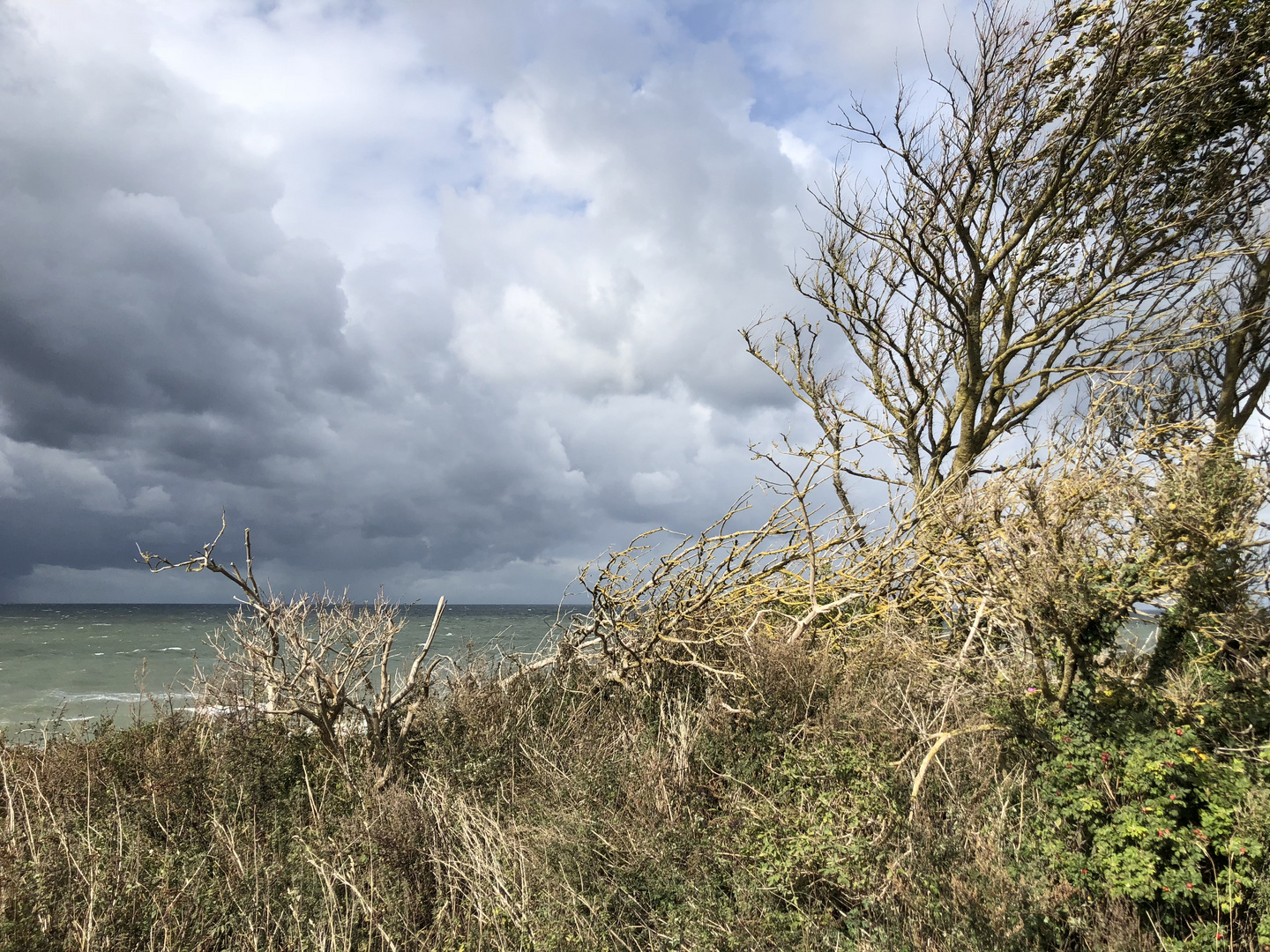 Ostsee - Steilküste in Ahrenshoop