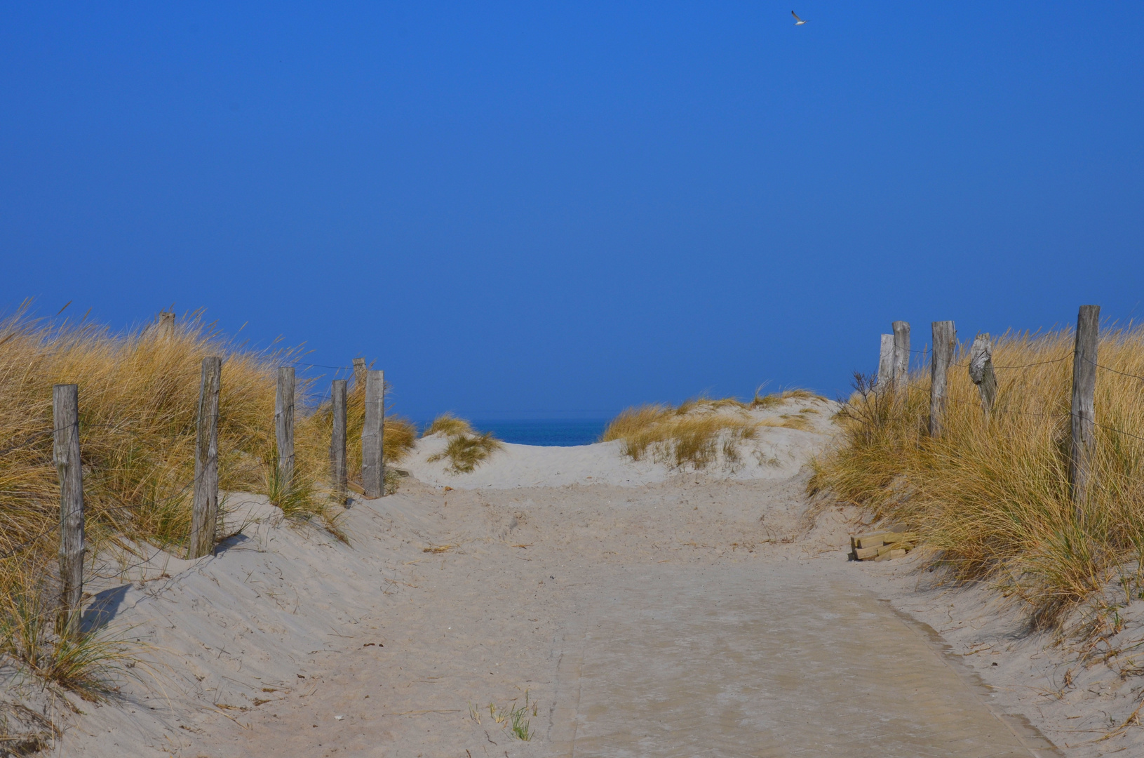 Ostsee Strand