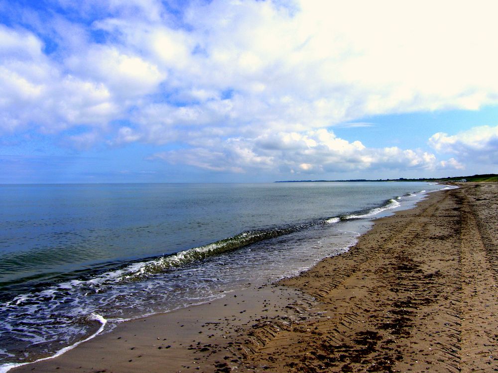 Ostsee Strand am Dünenmeer