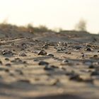 Ostsee Strand