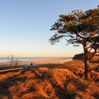 Ostsee-Strand