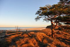 Ostsee-Strand