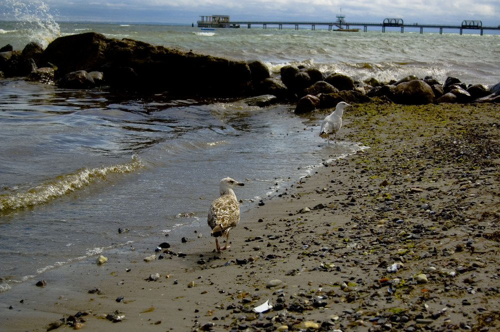 Ostsee - Strand