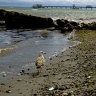 Ostsee - Strand