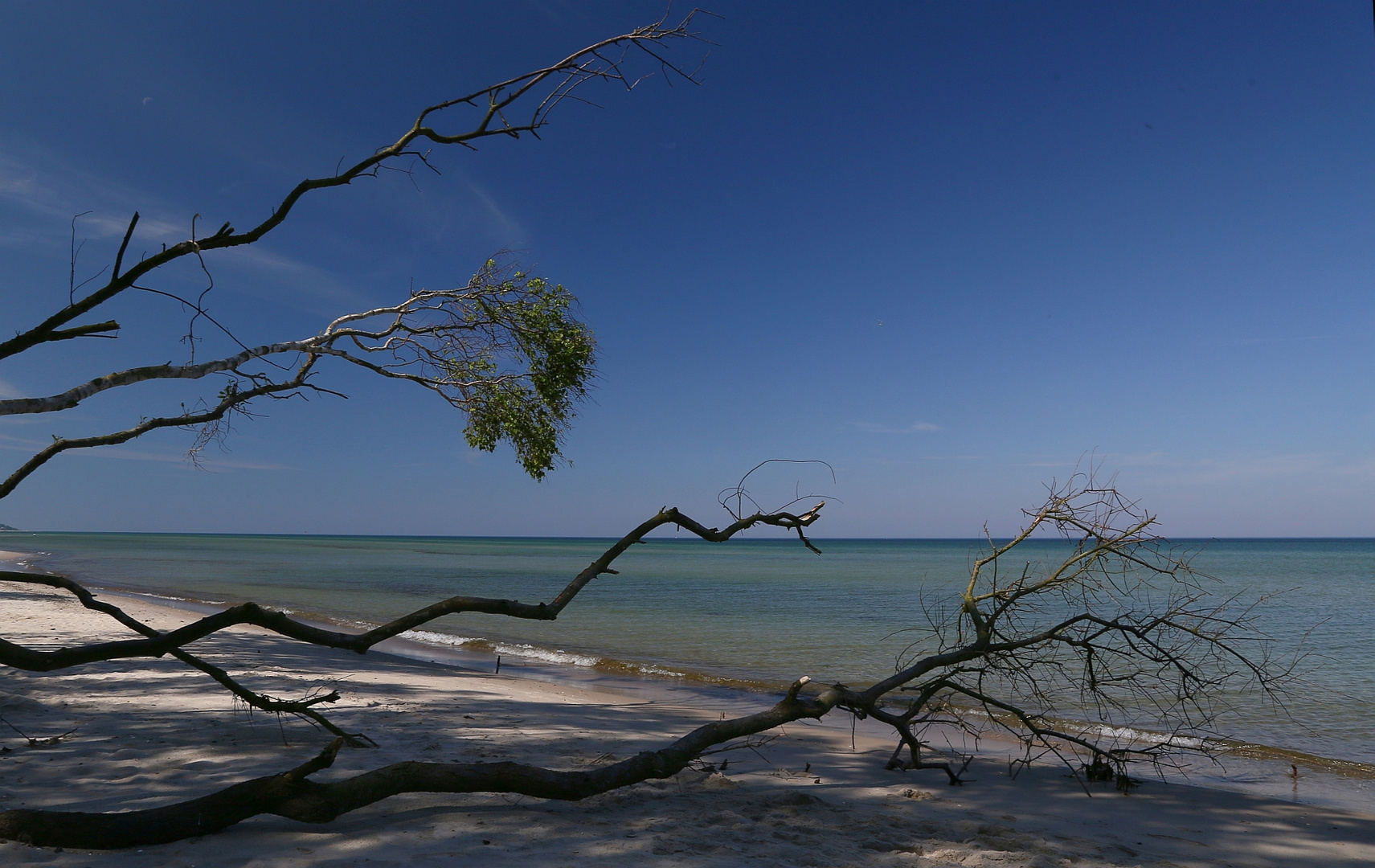 Ostsee Strand naturbelassen