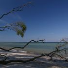 Ostsee Strand naturbelassen