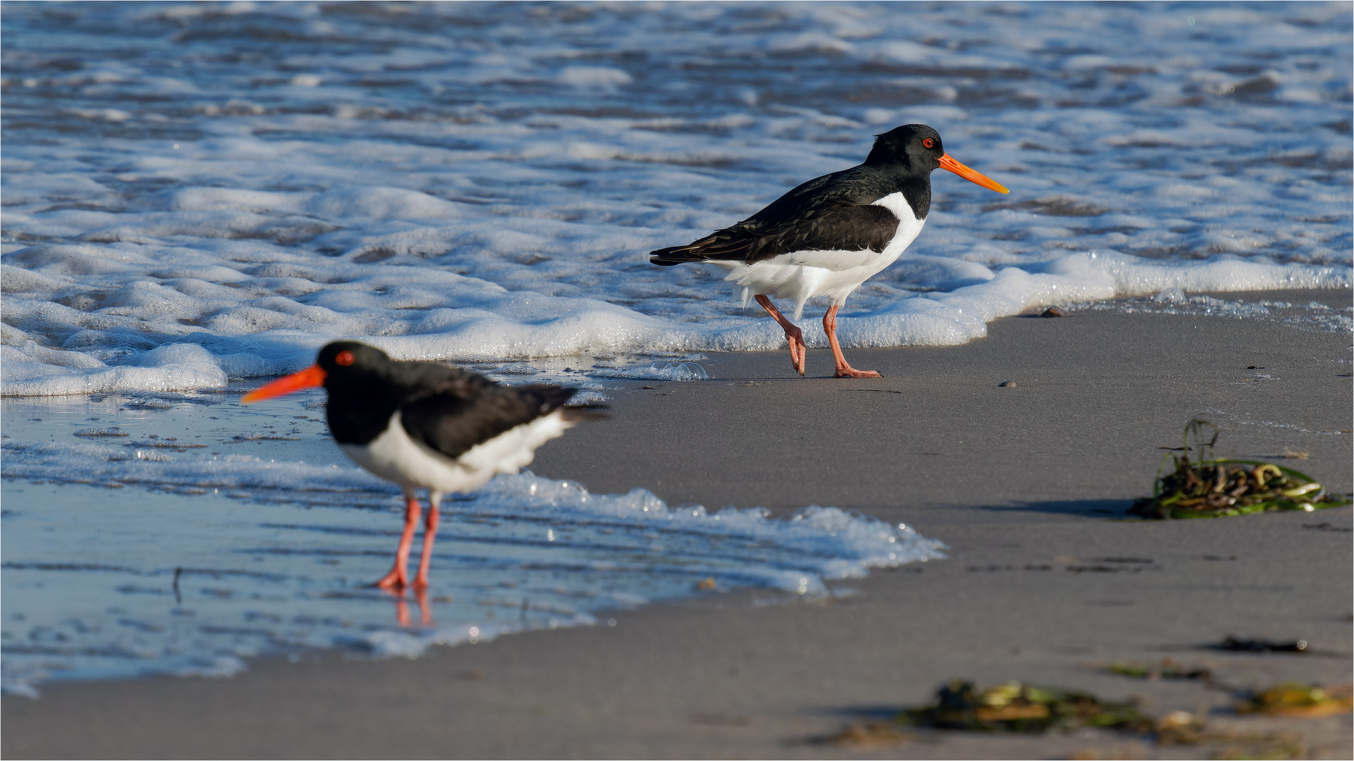 Ostsee - Strandbummel  .....