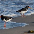 Ostsee - Strandbummel  .....