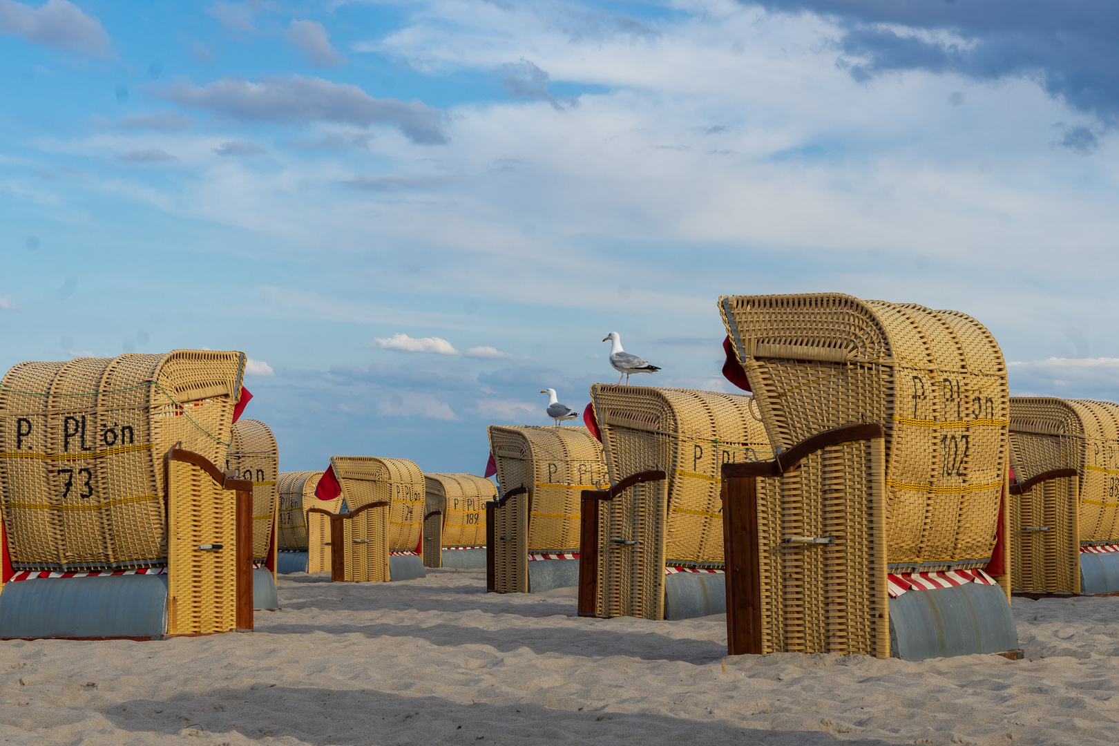 Ostsee Strandkorb mit Möwen