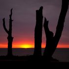 Ostsee-Sunset