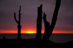 Ostsee-Sunset