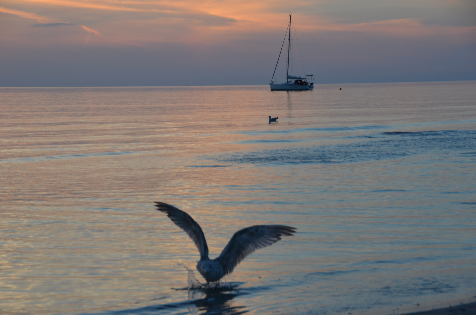 Ostsee Sunset Hiddensee 