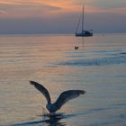 Ostsee Sunset Hiddensee 