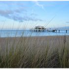 Ostsee Teehaus mit Schilf