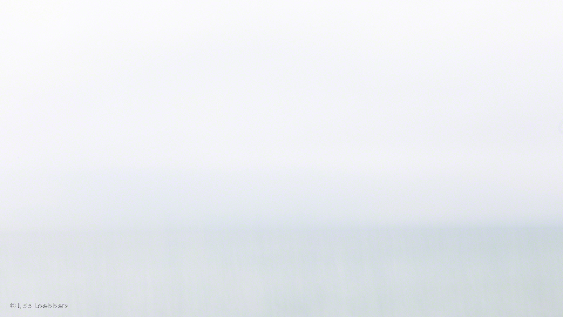 Ostsee und Himmel am Strand von Zingst