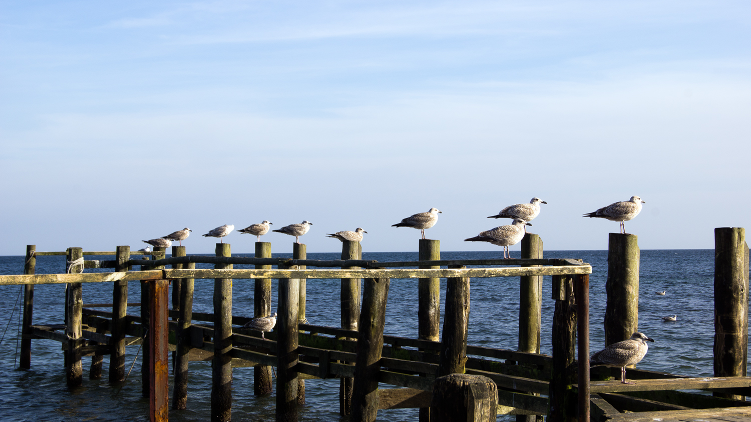 Ostsee und Ihre Einwohner