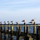 Ostsee und Ihre Einwohner