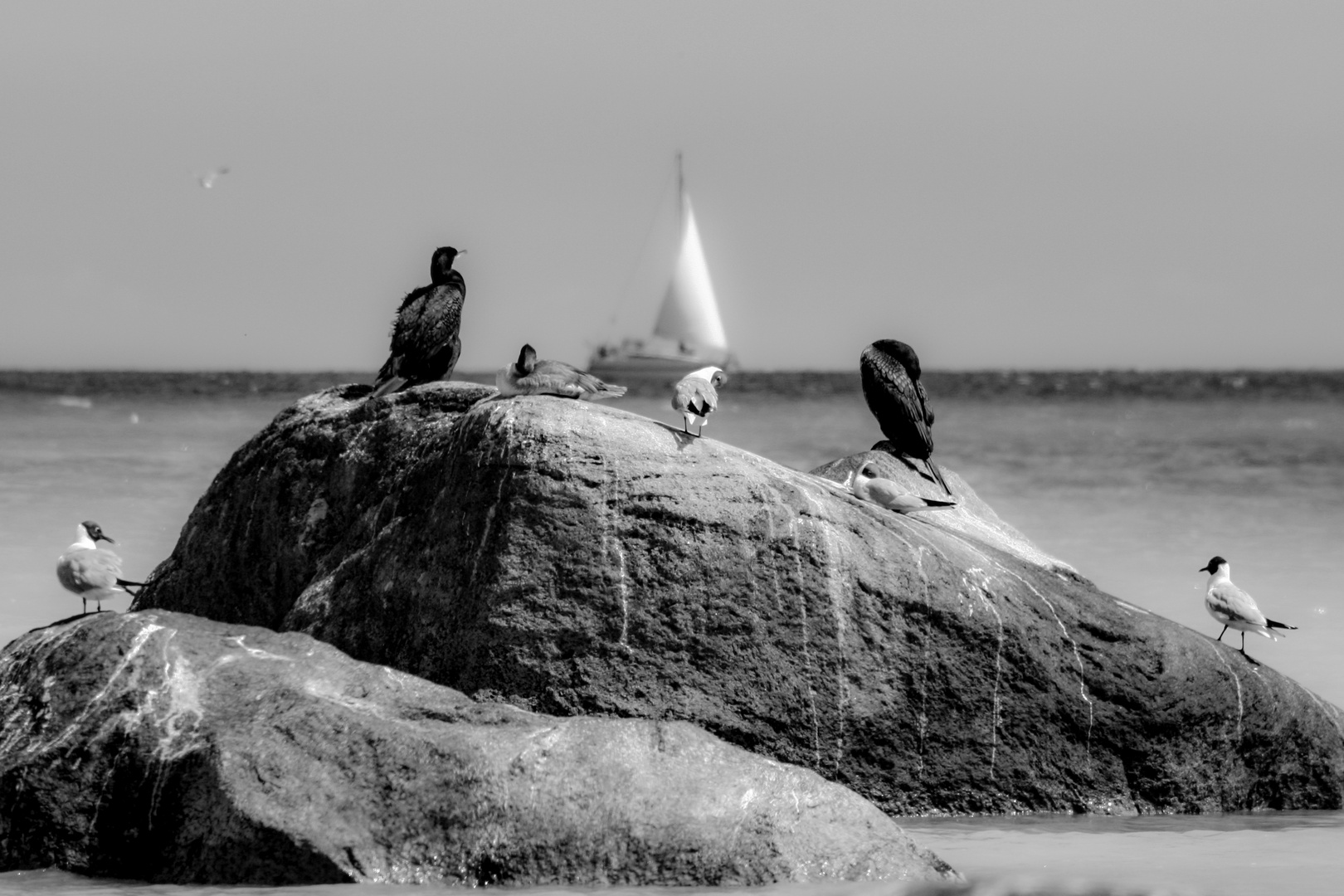 Ostsee vor der Insel Rügen- Fundstück aus dem Fotoarchiv- 2008