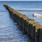 Ostsee - Warnemünde #02