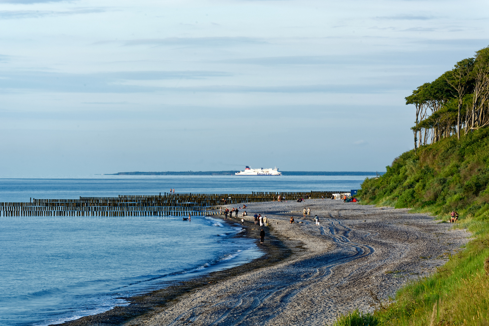 Ostsee Warnemünde Gespensterwald