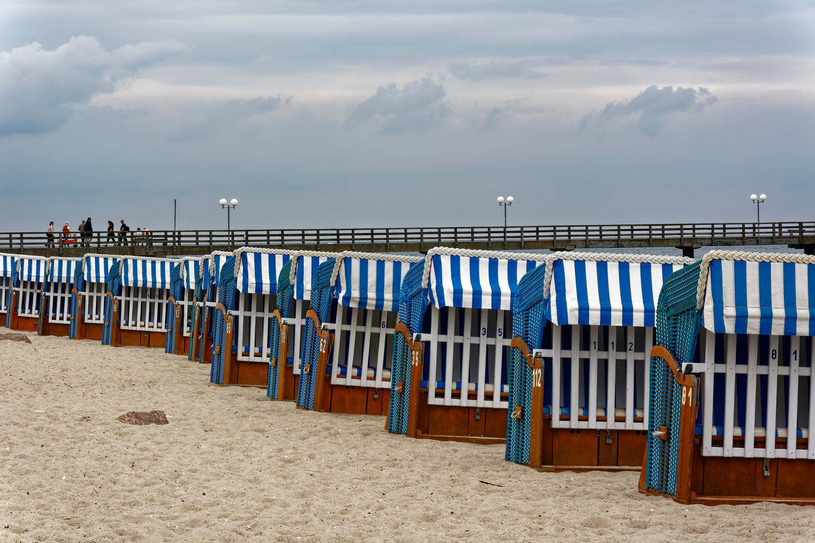 Ostsee Warnemünde Gespensterwald