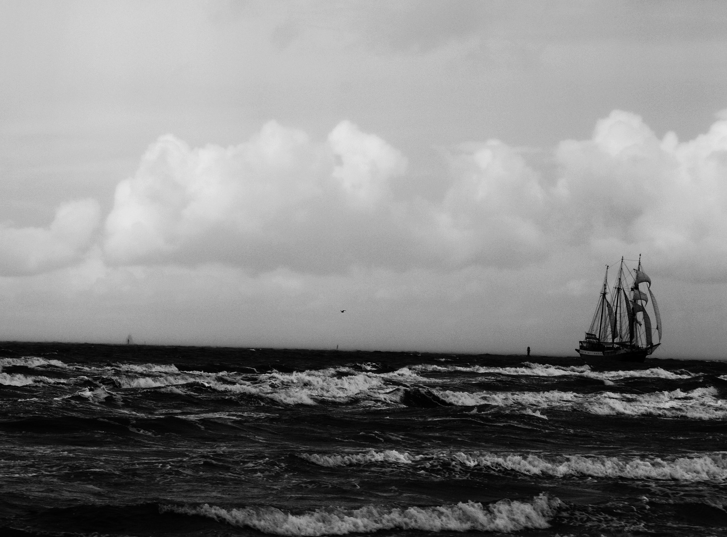 Ostsee - Warnemünde - Hansesail - Rostock