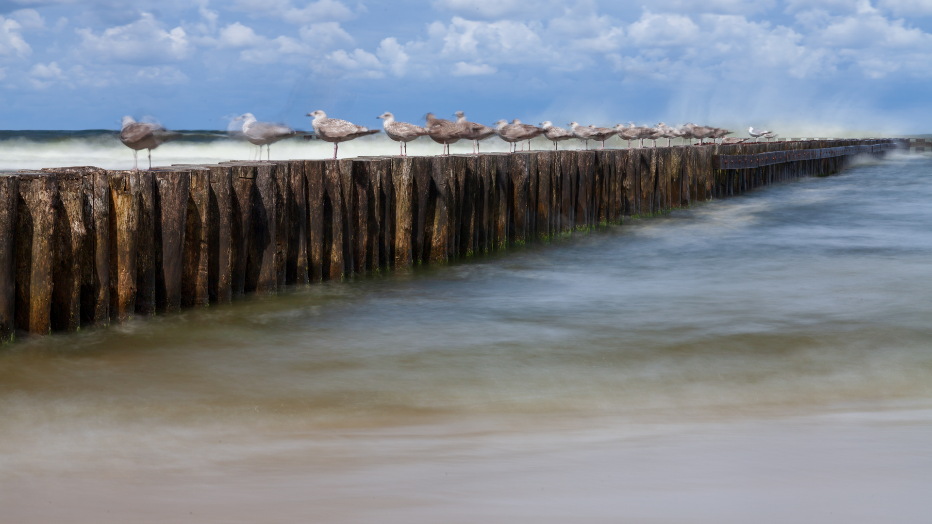 Ostsee Wellenbrecher und Möven