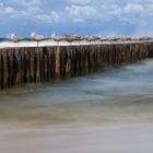 Ostsee Wellenbrecher und Möven