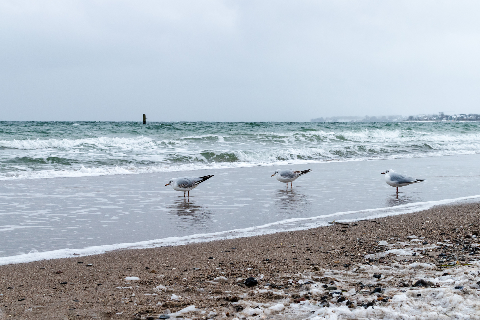 Ostsee-Winter