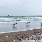 Ostsee-Winter