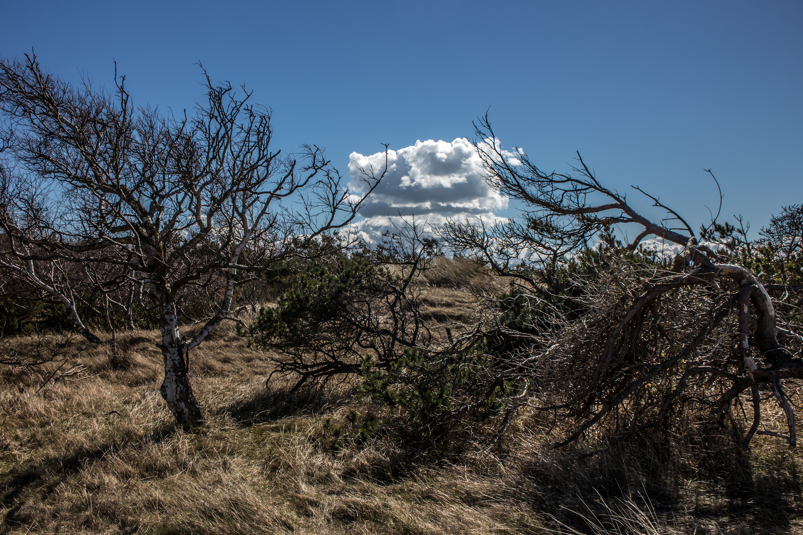 Ostsee Wolken 004