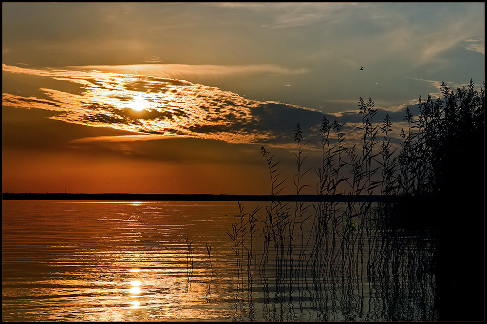 ~ Ostsee XIV ~