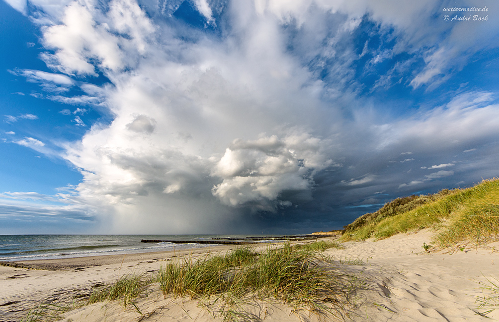 Ostsee-Zelle