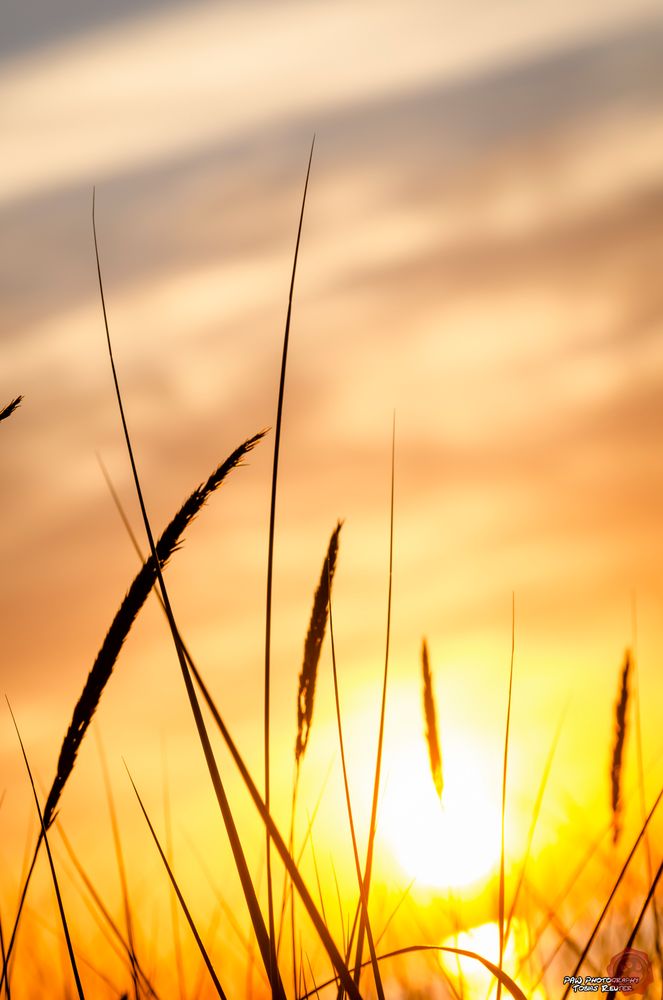 Ostsee Zingst Sonnenuntergang