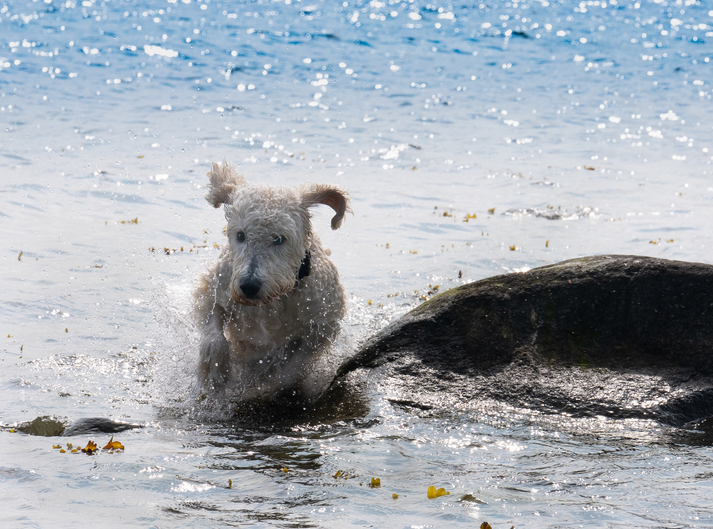 Ostsee2