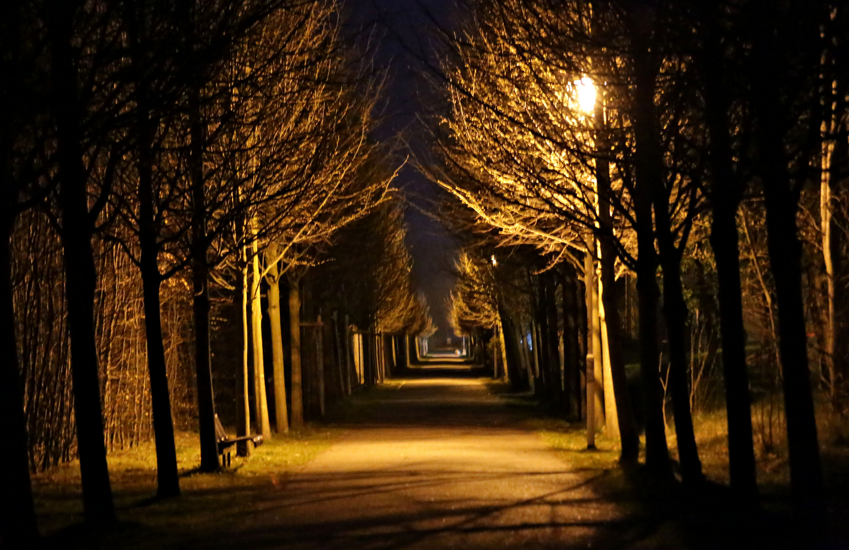 Ostseeallee am Abend