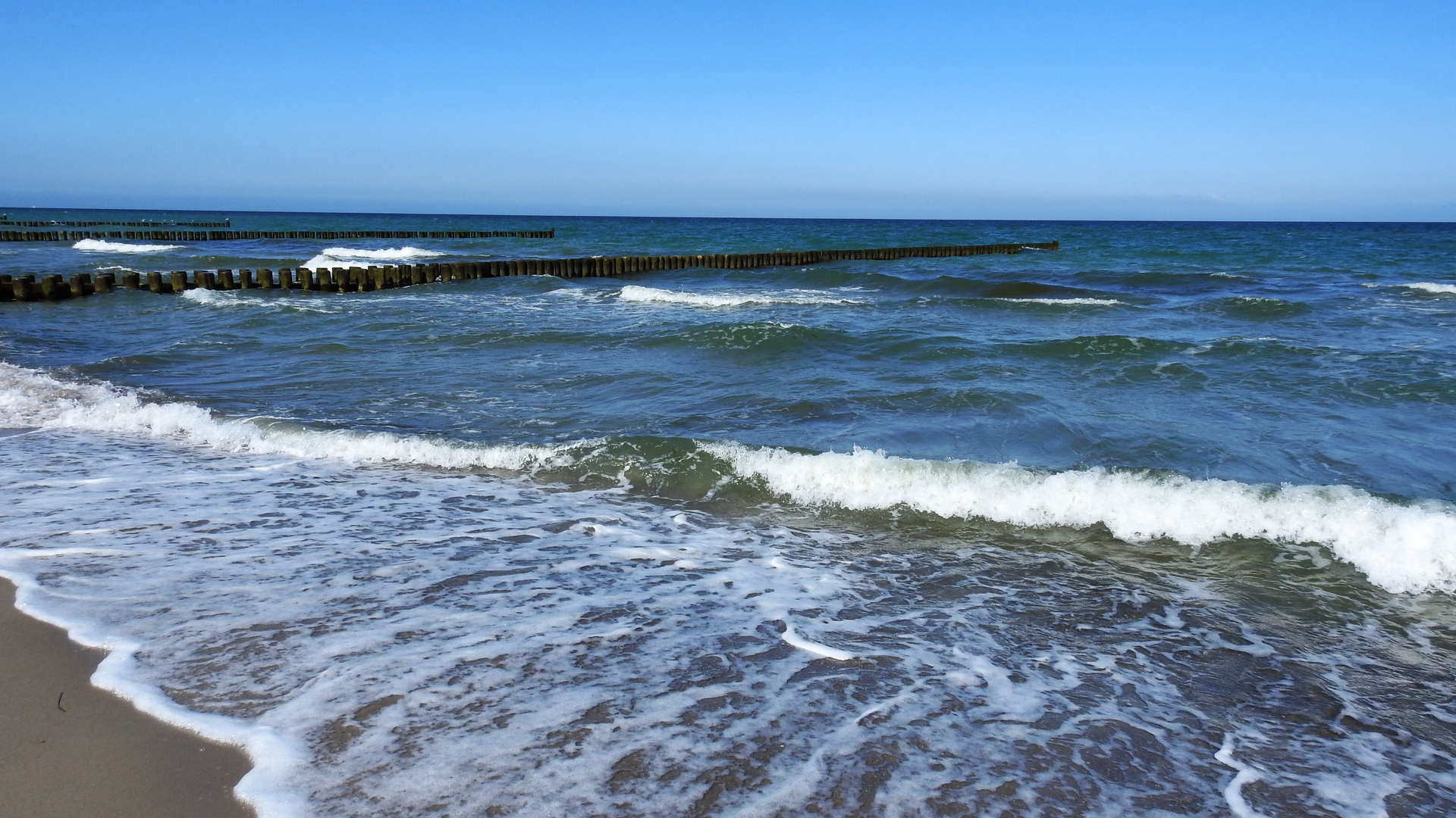 Ostseebad Ahrenshoop 4