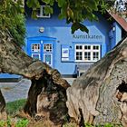 Ostseebad Ahrenshoop