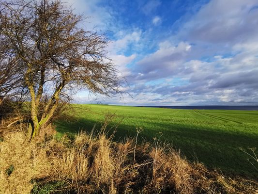 Ostseebad Boltenhagen 