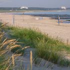 Ostseebad Dierhagen  ein Sommermorgen am Strand IMGP0041