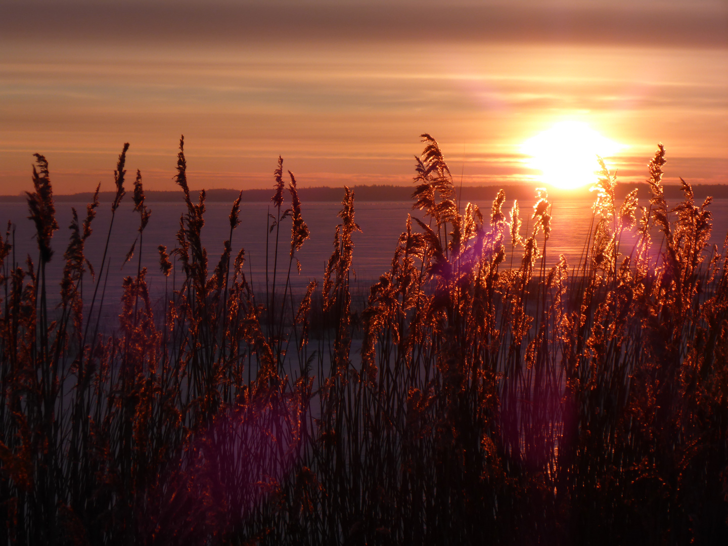 Ostseebad Dierhagen  Sonnenaufgang über dem zugefrorenen Bodden P1370486