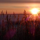 Ostseebad Dierhagen  Sonnenaufgang über dem zugefrorenen Bodden P1370486