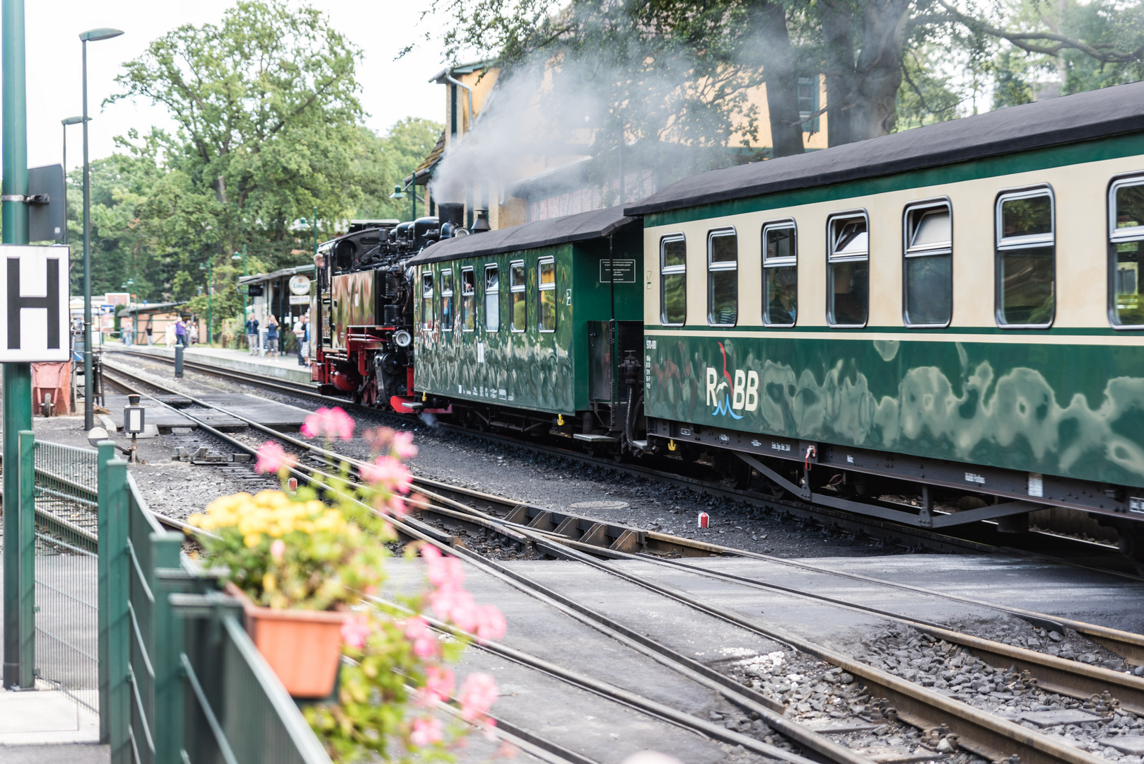 Ostseebad Göhren _ Endbahnhof mit dem "Rasenden Roland"