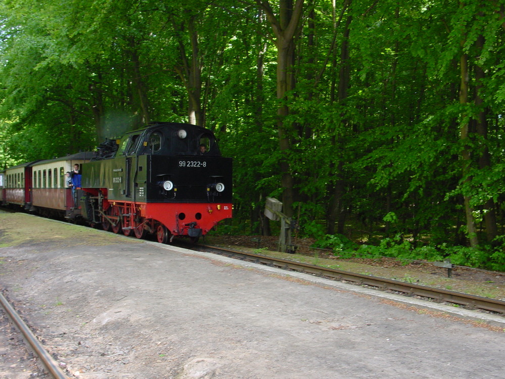 Ostseebad Heiligendamm 16